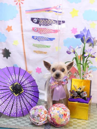 20240503ふみちゃん